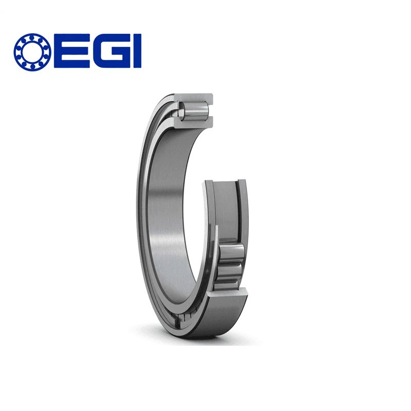 Single Row Full Complement Cylindrical Roller Bearing